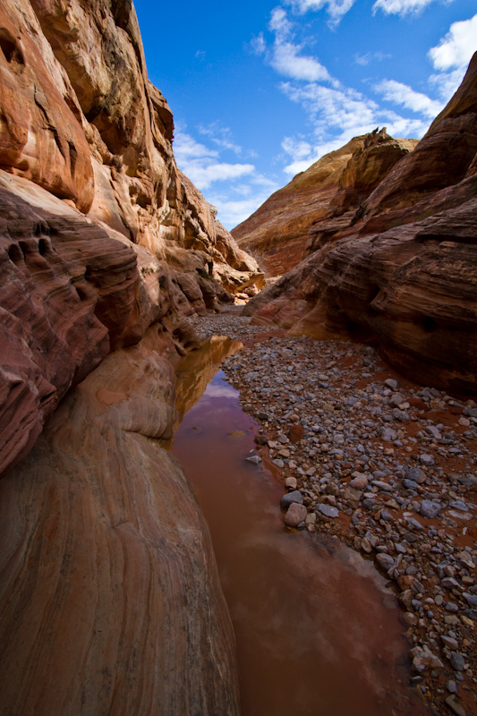 Rainwater In Gulley